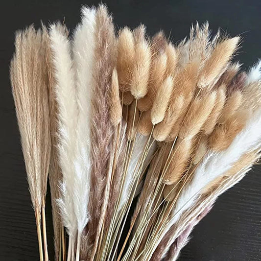 BohoBloom Dried Pampas Grass Set